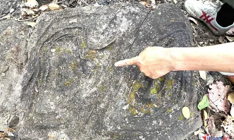 Sở Văn hóa Đắk Lắk vào cuộc xác minh bãi đá có họa tiết kỳ lạ ở Yok Đôn