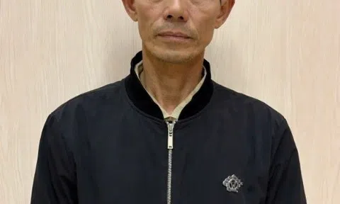 Giăng điện bẫy chuột, người đàn ông lĩnh hậu quả không ngờ