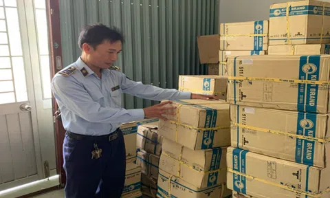 Cục QLTT Kiên Giang phát hiện, tạm giữ gần 24000 cây dao Thái Lan nhập lậu