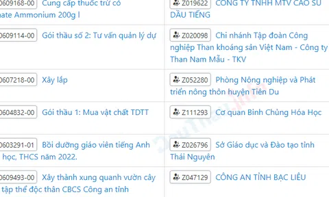 Hiện tượng “độc quyền” nhà thầu và dấu hỏi cần làm rõ