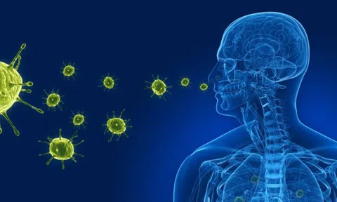 Virus gây viêm phổi trên người tại Trung Quốc: Bộ Y tế lên tiếng