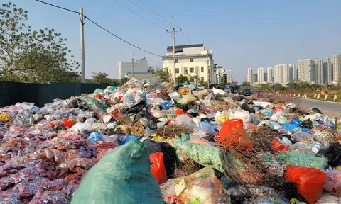 Bãi rác ngập bánh kẹo còn nguyên bao bì ở thủ phủ La Phù, Hà Nội