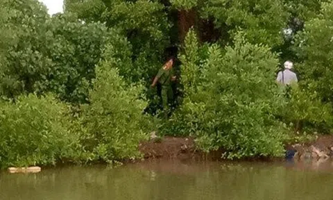 Cà Mau: Phát hiện thi thể người đàn ông đang phân hủy trên cây