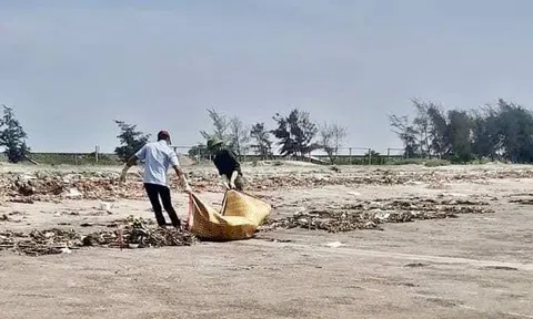 Nam Định: Phát hiện thi thể nam giới đang phân huỷ trôi dạt vào bờ biển