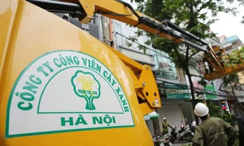 Hàng loạt gói thầu khủng “lọt vào tay” công ty Công viên cây xanh