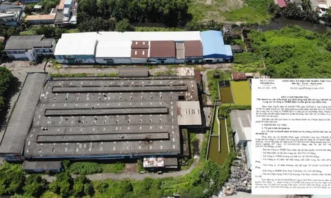 Bộ Tư pháp yêu cầu báo cáo về đấu tranh, trấn áp tội phạm trong các cuộc đấu giá tài sản