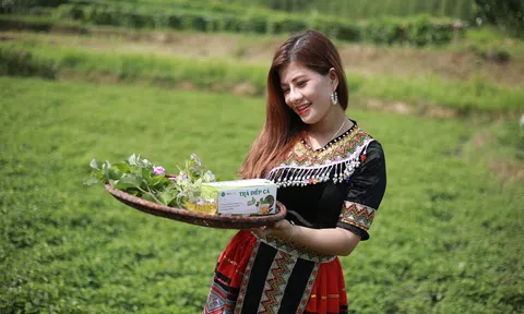 Khát vọng khởi nghiệp, làm giàu cho quê hương của người phụ nữ xứ Lạng