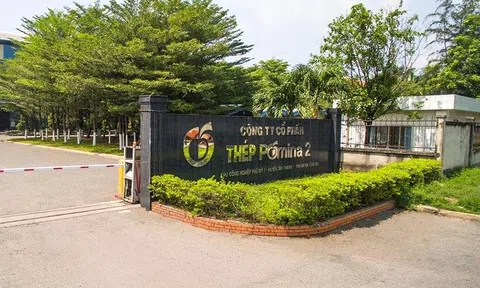 Bà Rịa - Vũng Tàu xử phạt 2 công ty chậm đóng bảo hiểm xã hội bắt buộc