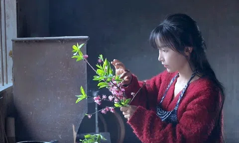 Lý Tử Thất hầu tòa, phiên xử quyết định tương lai của nữ blogger