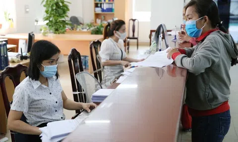 Quy định mới về chuyên môn, nghiệp vụ đối với công chức