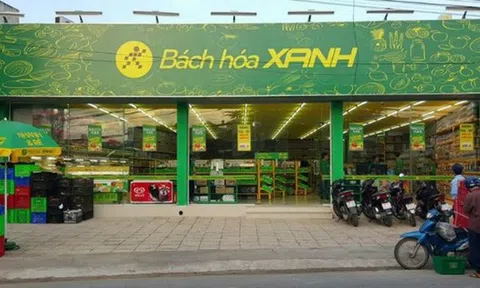 Bách Hóa Xanh đóng hơn 300 cửa hàng