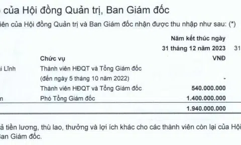 Ninh Vân Bay có lãi trở lại, hoa hậu Ngọc Hân tăng 50% thù lao trong năm 2023