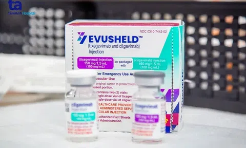Bộ Y tế: Evusheld là thuốc, không phải là “siêu vắc-xin”