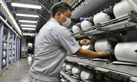 Cạn đơn hàng, Sợi Thế Kỷ báo lãi sụt giảm 98%