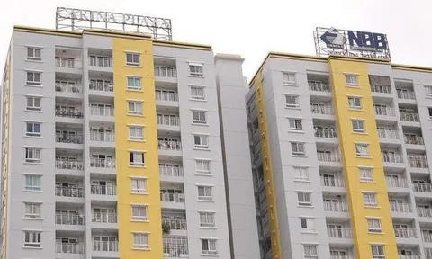 Năm Bảy Bảy thoát lỗ nhờ hợp tác đầu tư với CII E&C