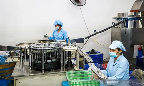 Gần 16.000 doanh nghiệp thành lập mới trong tháng 4/2023