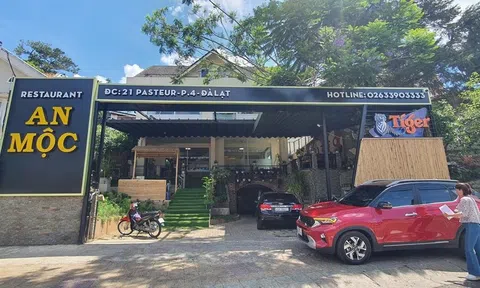 Đà Lạt: Nhận đặt tiệc online, nhà hàng bị lừa gần 240 triệu đồng