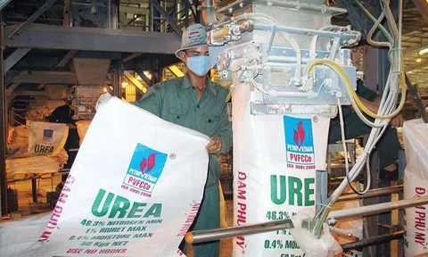 Giá ure chạm đáy, lợi nhuận Đạm Phú Mỹ “bốc hơi” 88%