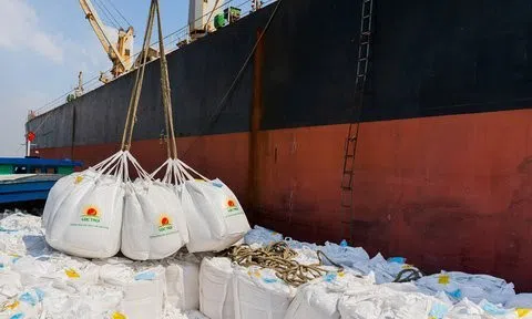 Vừa đạt doanh thu kỷ lục, vì sao Lộc Trời bất ngờ báo lỗ?