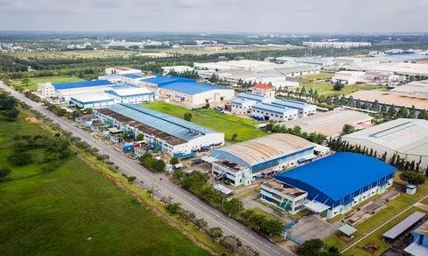 Nguyên nhân khiến lợi nhuận Saigontel giảm tới 99%