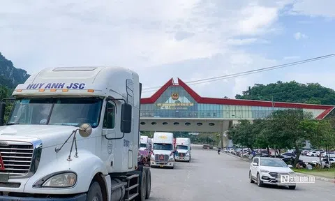 Cảnh giác trước giấy chứng nhận xuất khẩu nông sản giả mạo