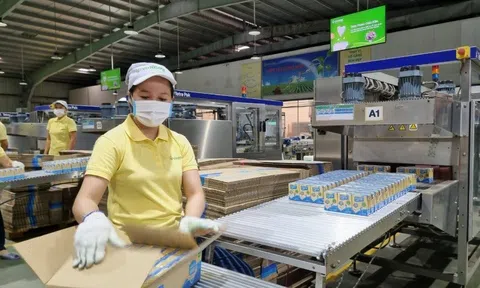 Chủ thương hiệu Vinasoy mang hơn 5.000 tỷ đồng gửi ngân hàng lấy lãi