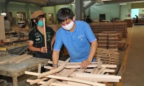 Một doanh nghiệp ngành gỗ “ôm” lỗ luỹ kế hơn 3.000 tỷ đồng