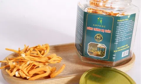Đông trùng hạ thảo An Phúc - Mang sản phẩm chất lượng đến tay người tiêu dùng Việt