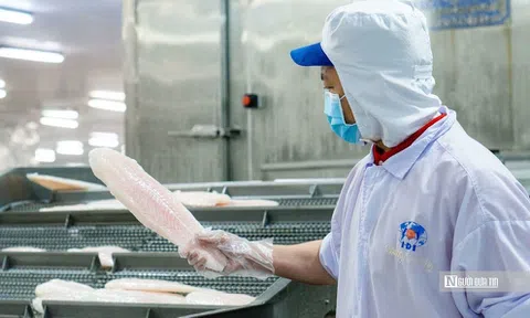 Thuỷ sản IDI có Tổng Giám đốc mới là kỹ sư xây dựng