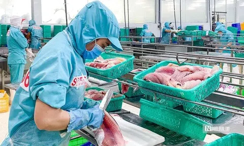 Doanh nghiệp thuỷ sản lao đao ngay trong quý đầu năm 2023