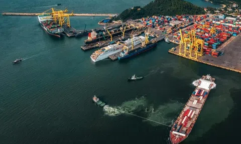 VIMC mang gần 8.000 tỷ đồng đi gửi ngân hàng lấy lãi