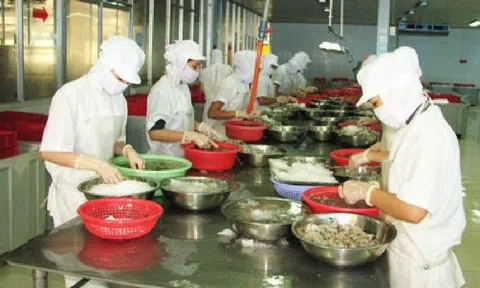 Khánh Hòa hướng tới mục tiêu kim ngạch xuất khẩu đạt 2 tỷ USD