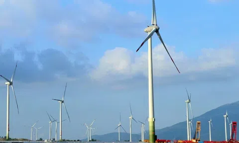 2 nhà máy điện gió được EVN duyệt giá mua điện tạm thời