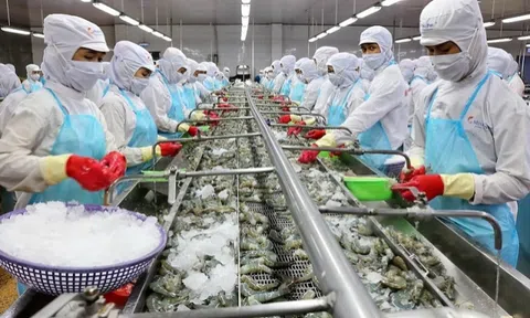 Lỗ nặng nhất sàn chứng khoán, ai là chủ nợ lớn nhất của Thuỷ sản số 4?