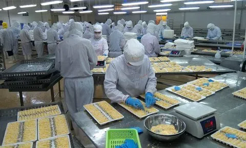 Camimex lên kế hoạch xuất khẩu đạt 100 triệu USD trong năm 2023