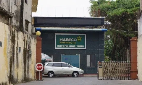 Bia Hà Nội - Thanh Hóa tiếp tục kinh doanh thua lỗ trong quý I/2023