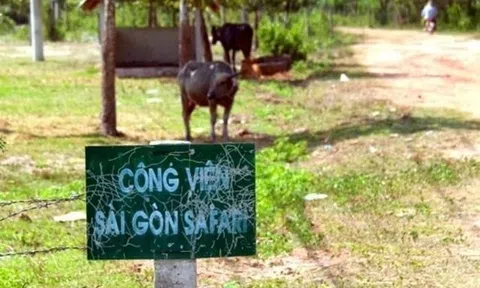 Chọn được nhà thầu gói thiết bị liên quan dự án Công viên Sài Gòn Safari