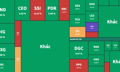 Cổ phiếu vốn hoá nhỏ vươn mình "cứu" thị trường