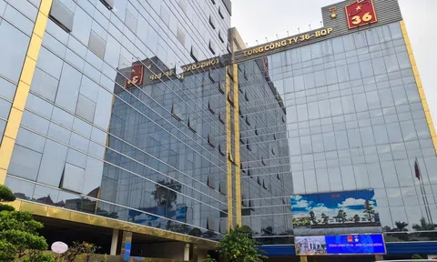 Trúng nhiều gói thầu lớn, G36 làm ăn ra sao?