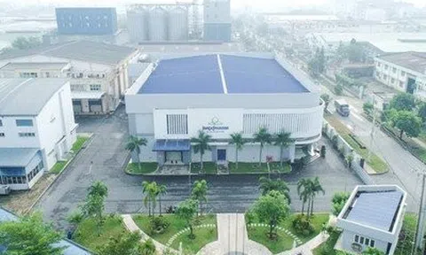 Một cổ phiếu mệnh giá vài nghìn đồng liên tục có mức tăng kịch trần