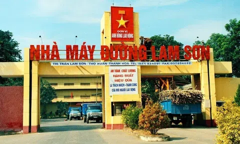 Bức tranh tài chính của "ông lớn" ngành mía đường xứ Thanh