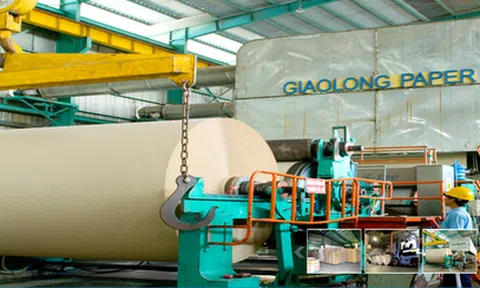 Đông Hải Bến Tre dự kiến phát hành cổ phiếu thấp hơn thị giá 41%