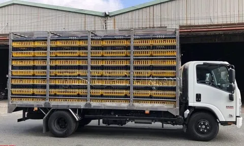 Ngăn chặn hành vi buôn bán, vận chuyển trái phép gia cầm qua biên giới