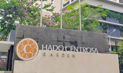 Hà Đô sắp phát hành 61 triệu cổ phiếu để trả cổ tức với tỉ lệ 25%