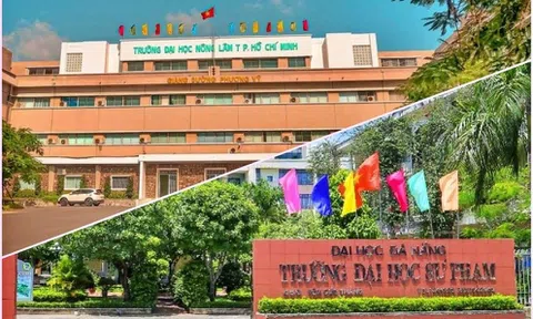 Bị phạt về chỉ tiêu tuyển sinh từ Bộ GD&ĐT, 2 trường đại học nói gì?