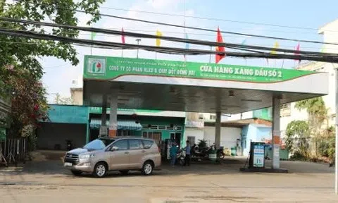 Một doanh nghiệp xăng dầu muốn chia cổ phiếu thưởng tỉ lệ 281%