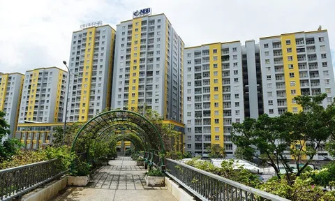 Năm Bảy Bảy chi gần nghìn tỷ đồng nhận chuyển nhượng tài sản của CII