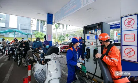 Giám đốc VESS: Chính sách thuế với xăng dầu hiện tại không còn phù hợp