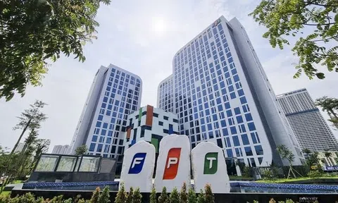 FPT sắp chi 1.100 tỷ đồng và phát hành 165 triệu cổ phiếu trả cổ tức