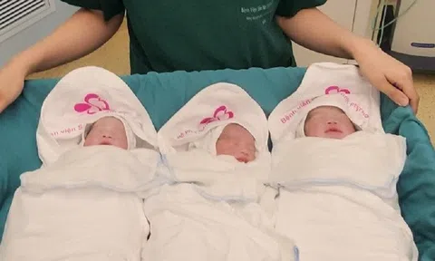 Hi hữu: Sản phụ mang tam thai từ hai trứng, hai tinh trùng